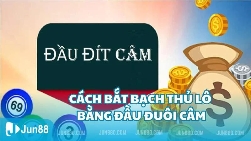 Hé lộ những cách bắt bạch thủ lô hiệu quả cho tân thủ 3 Cách bắt bạch thủ lô bằng đầu đuôi câm