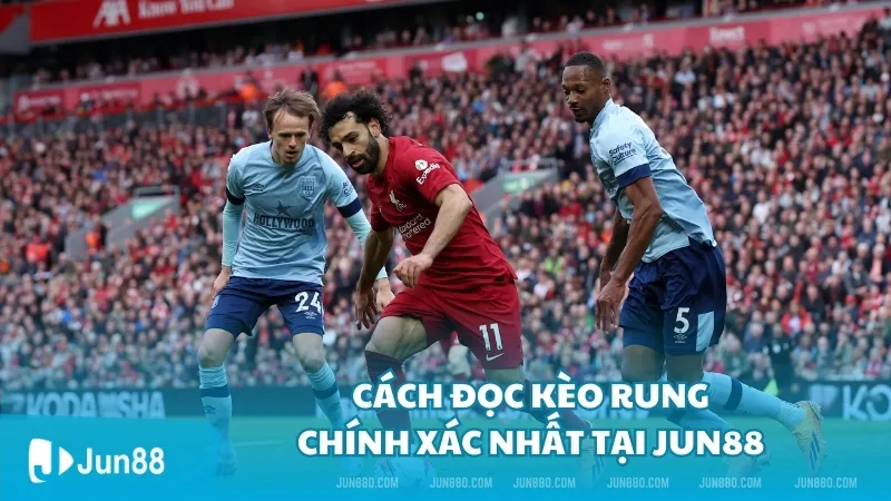 Kèo rung là gì? Cách đọc kèo rung chuẩn tại Jun88 3 Cách đọc kèo rung chính xác nhất Jun88