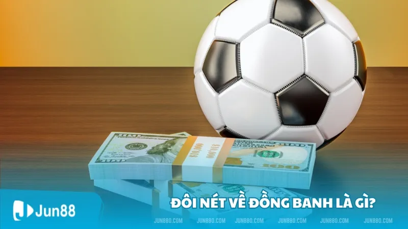 Đồng banh là gì? Đâu là những loại đồng banh phổ biến năm 2024? 2 Đôi nét về đồng banh là gì?