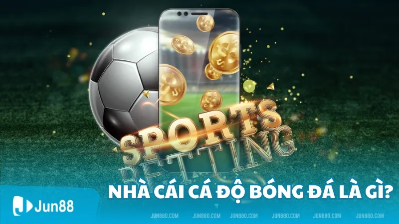 Nhà cái cá độ bóng đá là gì? Tiêu chí lựa chọn nhà cái uy tín hiện nay 2 Nhà cái cá độ bóng đá là gì?