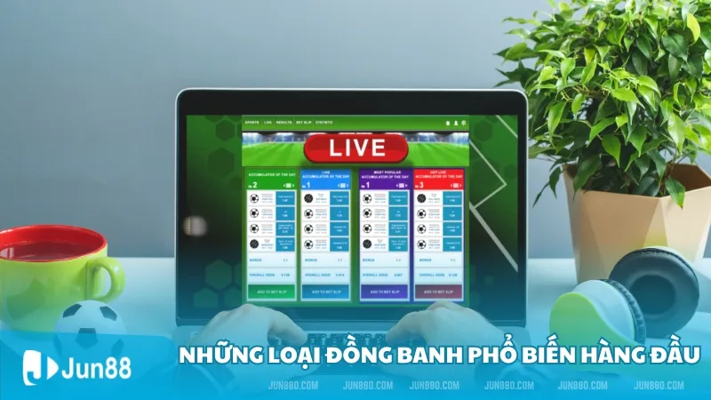 Đồng banh là gì? Đâu là những loại đồng banh phổ biến năm 2024? 3 Những loại đồng banh phổ biến hàng đầu