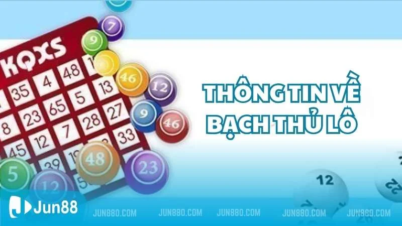 Hé lộ những cách bắt bạch thủ lô hiệu quả cho tân thủ 2 Tìm hiểu thông tin về bạch thủ lô