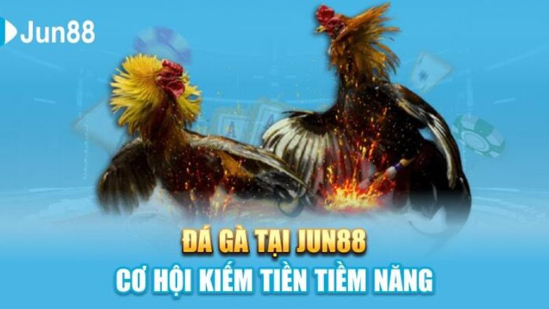 Đá gà thưởng mỗi ngày cùng Jun88 - Cơ hội thắng với với giải thưởng hấp dẫn 4 Đá gà tại Jun88 cơ hội kiếm tiền tài năng
