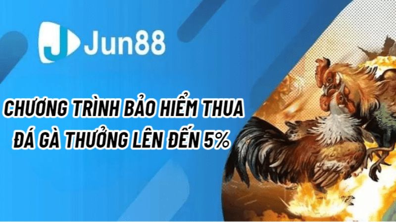 Đá gà thưởng mỗi ngày cùng Jun88 - Cơ hội thắng với với giải thưởng hấp dẫn 3 Điểm danh các sự kiện đá gà thưởng mỗi ngày cùng Jun88