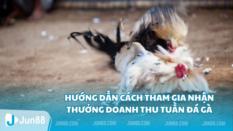 Thưởng doanh thu tuần đá gà - Jun88 thưởng nóng không giới hạn 4 Hướng dẫn cách tham gia nhận thưởng doanh thu tuần đá gà