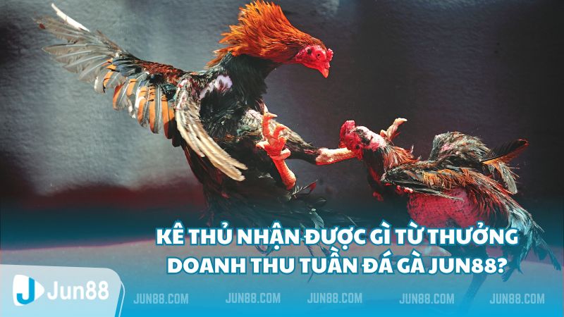 Thưởng doanh thu tuần đá gà - Jun88 thưởng nóng không giới hạn 2 Kê thủ nhận được gì từ thưởng doanh thu tuần đá gà Jun88?