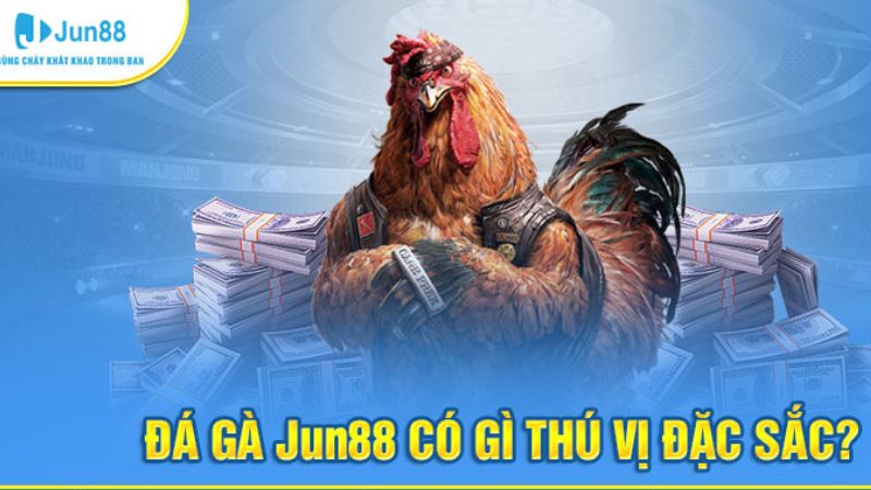 Đá gà thưởng mỗi ngày cùng Jun88 - Cơ hội thắng với với giải thưởng hấp dẫn 2 Tại sao nên tham gia đá gà thưởng mỗi ngày cùng Jun88